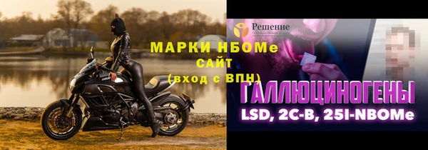 гашик Аркадак