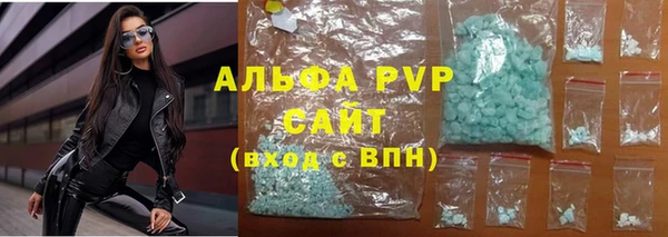 стафф Алексин